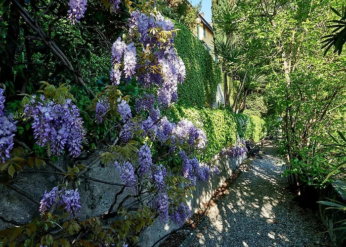 Lägenhet Casa Garden