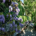 Apartmán Casa Garden